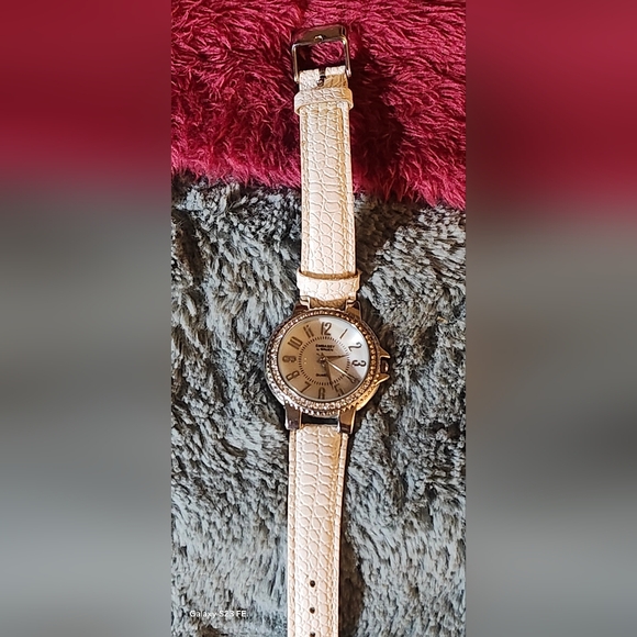 Beautiful ICED out Embassy By Gruen Womens watch MOP Dial - Picture 4 of 7